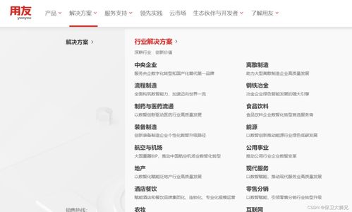 2024年erp軟件公司排名前十